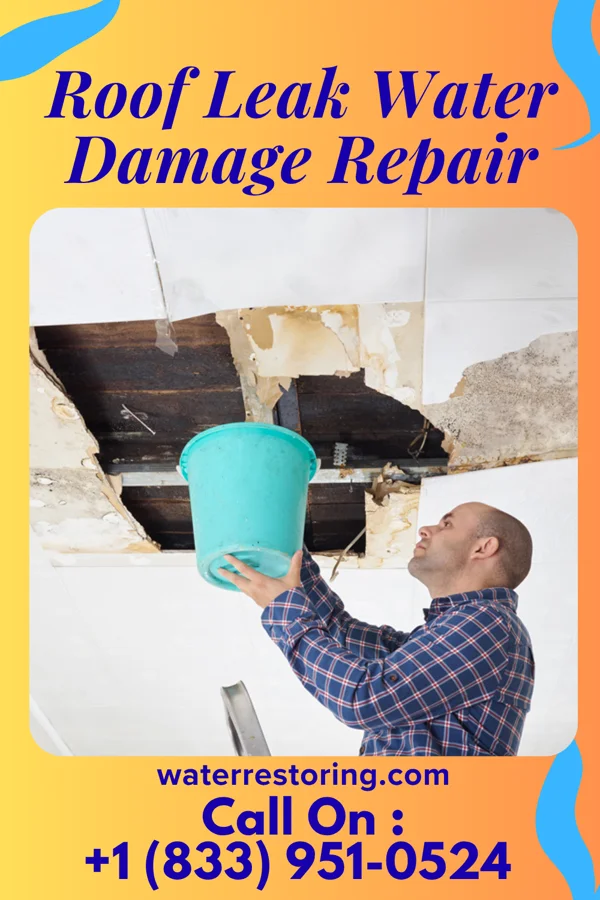 Roof Leak Water Damage Repair in East Foothills, CA